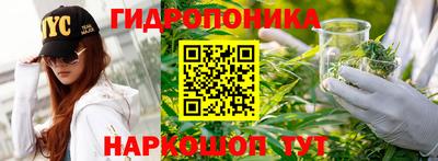 стаф Свободный
