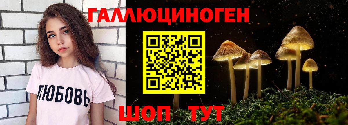 Псилоцибиновые грибы MAGIC MUSHROOMS  купить наркотики сайты  Псилоцибиновые грибы GOLDEN TEACHER  Трёхгорный  Вход с VPN 